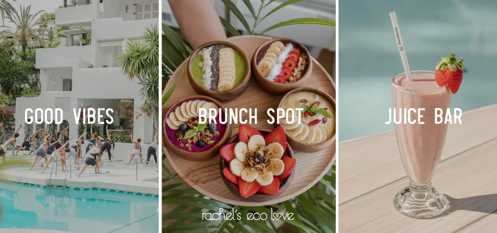 vegan and organic restaurants in Marbella