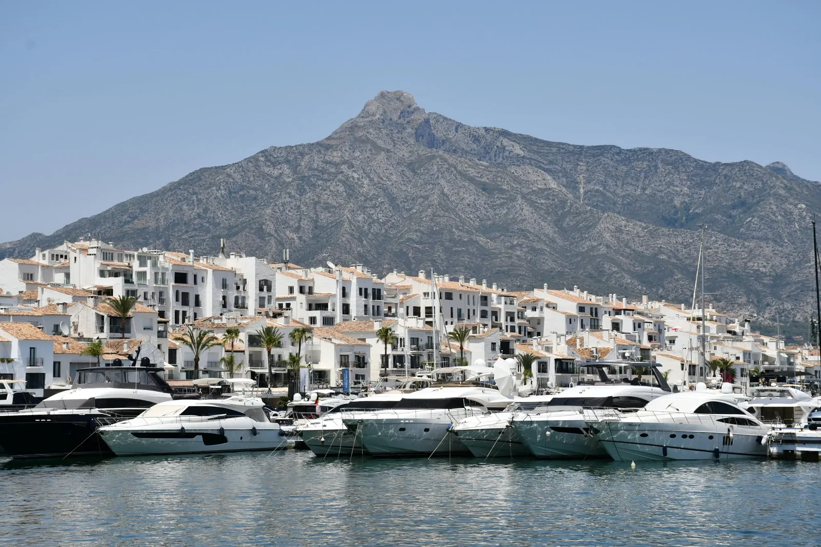 Marbella area