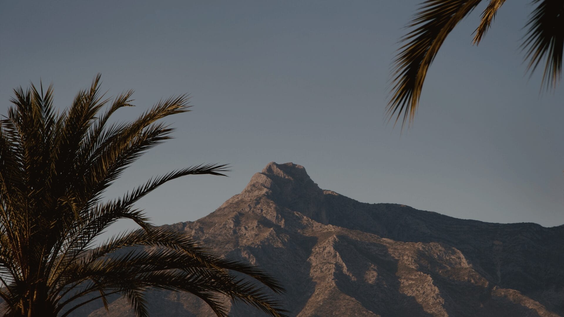 A-perfect-Christie-s-day-in-Nueva-Andalucia A perfect Christie s day in Nueva Andalucia - Christie's Costa del Sol