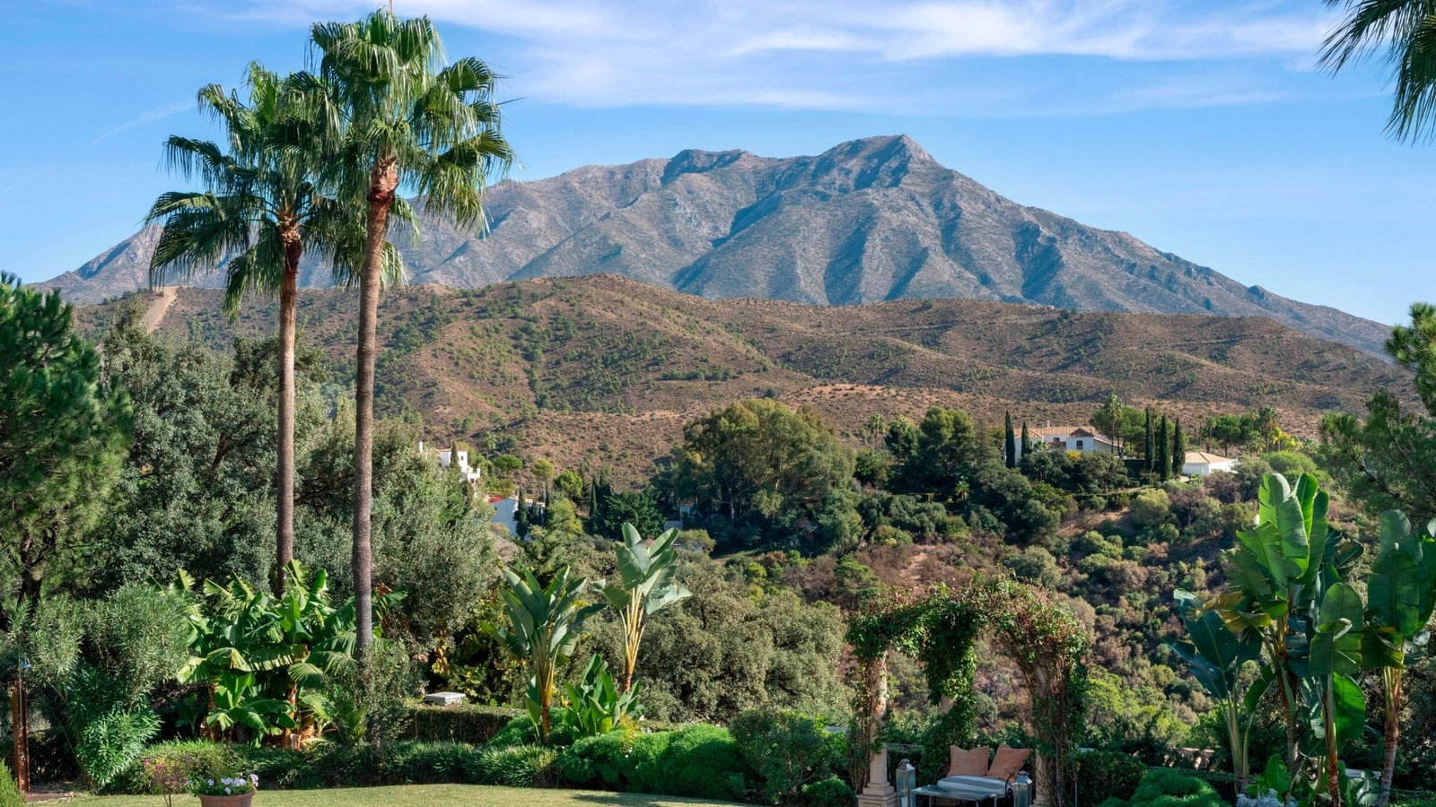 El Madro al Area Guide 1 - Christie's Costa del Sol